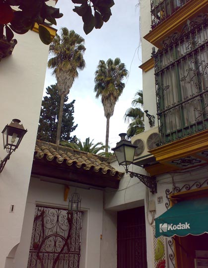 Barrio de Santa Cruz