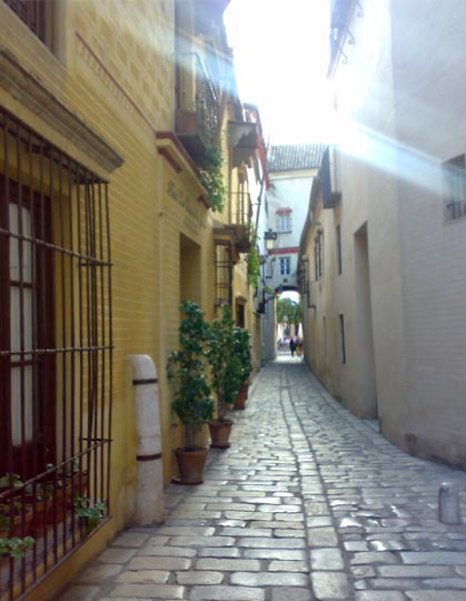 Barrio de santa Cruz