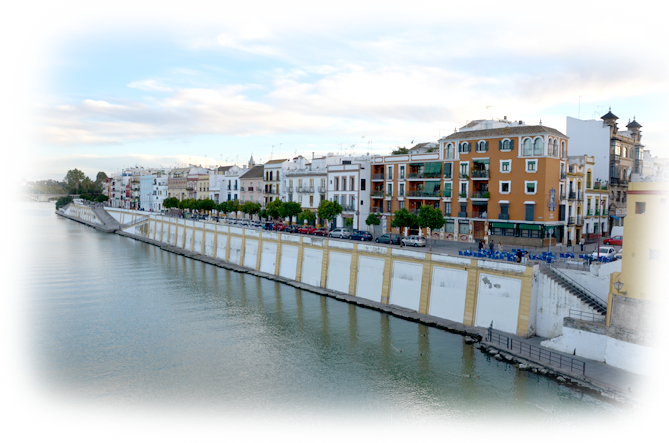 calle betis sevilla experiencias